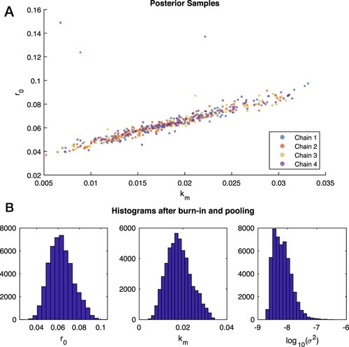 Figure 5. Samples from Bayesian posterior when σ is not known. A: A 2D plot of km versus r0 for the four chains computed by MCMC for Case 4 synthetic data. The chains exhibit good mixing and convergence to the thin ridge of the posterior. In this plot every 200th sample from the chains is shown. B: Frequency histograms for each parameter from the Markov chains in Case 4 after the exclusion of the first half of each chain as burn-in values and the pooling of parallel chains.