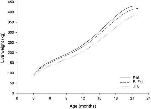 Figure 1. Predicted growth curves from three to 22 months of age for Holstein-Friesian (F16), Jersey (J16) and first-cross Holstein-Friesian–Jersey crossbred (F1 F × J) dairy heifers born between spring-2006 and spring-2013.