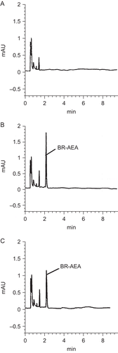 Figure 2.  Chromatograms of (A) blank rabbit plasma, (B) plasma spiked with 1 μg/mL BR-AEA, and (C) plasma sample obtained from a rabbit at 7 h after i.v. administration of BR-AEA (0.1 mg/kg).