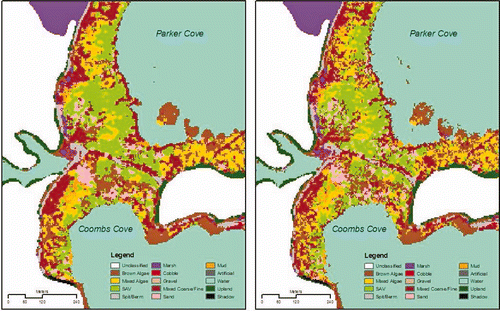 Figure 3. Classified data set filtered using the 3 × 3 majority filter (left) and the ESRI Arc/Info GRID region-group and majority filter (right).