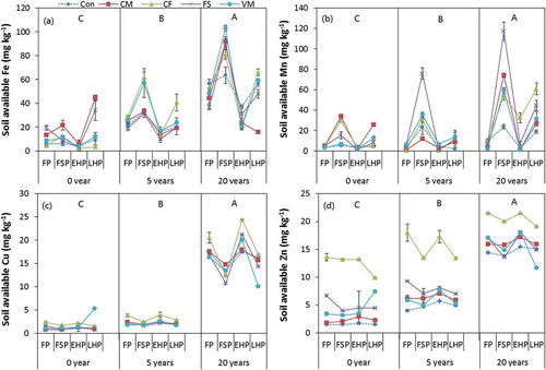 Figure 2. Effected of fertilization, growth period and cultivation duration on soil available Fe (a), Mn (b), Cu (c), and Zn (d). Treatments include no fertilization as control (Con), chicken manure fertilization (CM), chemical fertilizer fertilization (CF), fresh rice straw fertilization (FS), and vermicompost fertilization (VM). Growth periods include: flowering period (FP), fruit set period (FSP), early harvest period (EHP), and late harvest period (LHP). Cultivation durations include 0 year, 5 years, and 20 years. Data are represented as means ± standard error (n = 4). The capital letters indicate significant differences between different cultivation durations.