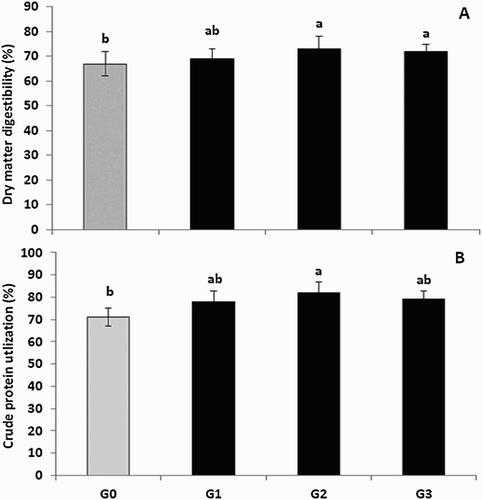 Figure 1. Effect of feeding Zinc-methionine supplementation on dry matter digestibility (A) and crude protein utilization (B). Values are means represented by vertical bars. a,b: mean values with unlike letters were signiﬁcantly different (p < .05).
