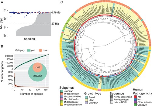 Figure 1. Taxonomic analysis using all Mycobacterium species. A) Assembly quality. The bar plot indicates the N50 length in each species. The grey bar was available with the NCBI assemblies. The x-axis is sorted in ascending order with y-axis value. The blue dots show assemblies obtained in this work. The black and red dashed lines show the median N50s calculated using assemblies available from NCBI and our assemblies (also see Table S1). Growth type was defined according to the time required to grow bacterial colonies [i.e. rapid (3–7 days) and slow (>7 days)]. B) Core and pan genome analysis. Gene clusters were discriminated based on differences in the percent identity and length. The numbers of core (bottom) and pan (top) genes are shown, based on the number of NTM species. The error bars were calculated from 1000 replicates of randomly selected species. C) Comparative analysis. A phylogenetic tree was constructed using the 80% core genome (also see Figure S1). Filled colours correspond to the subgenus, growth type, pathogenicity, and assembly availability.