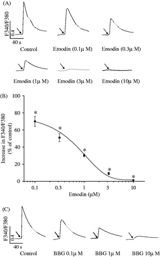 Figure 1. Inhibition of emodin on ATP-evoked increase in [Ca2+]c in macrophages. (A) Representative [Ca2+]c traces for stimulating macrophages with ATP (5 mM) in the absence (control) and in the presence of emodin (0.1, 0.3, 1, 3, 10 µM). Emodin was added 20 min before the application of ATP. Arrows indicated the application of ATP. (B) The statistic peak values of increase in F340/F380 ratio after ATP application from experiments shown in A (n = 15 for each case). *p < 0.05 by one-way ANOVA, compared with control group. The smooth curve represented the fitting to the equation of with an IC50 value of 0.5 μM. (C) Representative [Ca2+]c traces for stimulating macrophages with ATP (5 mM) in the absence (control) and in the presence of BBG (0.1, 1, 10 µM). BBG was added 20 min before the stimulating with ATP.