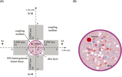 Figure 14. Hyperthermia of tumour in a circular breast model with four LHM lenses: (A) The system, and (B) Circular breast model.