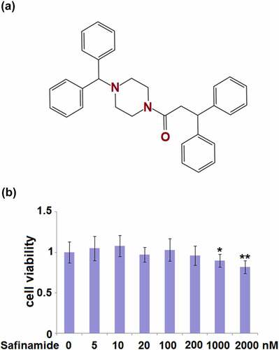 Figure 1. Cytotoxicity of Safinamide in M17 neuronal cells. (a) Molecular structure of safinamide; (b) Cells were treated with safinamide at the concentrations of 0, 5,10, 20, 100, 200, 1000, 2000 nM, cell viability was determined using MTT assay (*, **, P < 0.05, 0.01 vs. vehicle group).