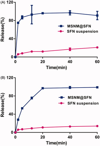 Figure 1. The in vitro release of SFN from MSNM@SFN at 37 °C in pH 1.2 (A) and 6.8 (B) PBS buffer medium. Data represent the mean ± SD (n = 3).
