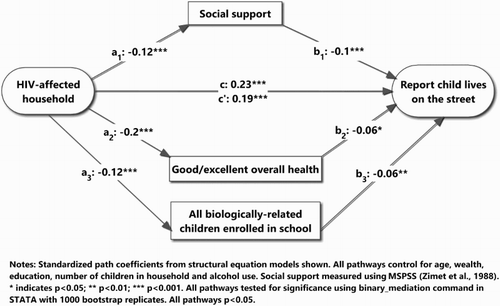 Figure 2. Path analysis of reporting a family child lives on the streets and HIV-affected households.