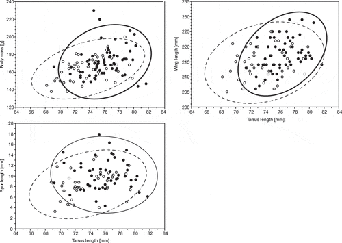 Figure 1. Relationship of the most dimorphic traits in male (black dots) and female (white dots) Blacksmith Lapwings against the tarsus length. The ellipses show the 95% prediction intervals for a single observation, given the parameter estimates for the bivariate distribution computed from the data for males (solid line) and females (dashed line)