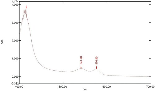 Figure 3. Absorption spectrum of 800 µl of 16 mM OxyHb in 10 Mm phosphate buffer at pH 7.6 with 100 µl of 5 mg/ml LAFRF for 3 h at 25°C.