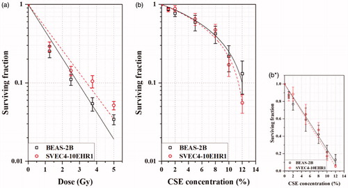 Figure 5. Clonogenic surviving fractions of BEAS-2B and SVEC4-10EHR1 cells after (a) alpha particle exposures at doses of up to 5 Gy and (b, b*) CSE treatments at concentrations of up to 12%. The linearly-fitted surviving fractions (b*) from CSE treatment were depicted in a semi-log scale (b) for direct comparison with those from alpha particle exposure. The error bars represent standard errors.