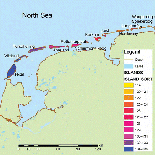 Fig. 4 Island coding along the southern or “Wadden” coast of the North Sea. Island sorting can be used to quickly group islands along the same coastal stretch.