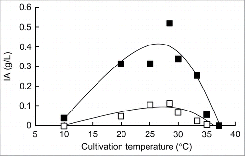 Figure 2. Plot of growth temperature (°C) versus itaconic acid (IA) production (g/L). The overnight cultures of recombinant E. coli (open squares, BW25113 (DE3) (pLysS, pETHis-cad); closed squares, BW25113 (DE3) (Δicd, pLysS, pETHis-cad)) cultivated in LB medium at 37°C were inoculated in fresh 2 mL of LB medium to an OD600 of 0.1. The cultures were subsequently incubated at 10, 20, 25, 28, 30, 33, 35, or 37°C for 18 h. When the cultures reached an OD600 of 0.4–0.6, IPTG was added at a final concentration of 0.1 mM to induce cad expression. The IA production in the resulting strains was analyzed after growth with IPTG induction.