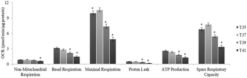 Figure 4. Metabolic flux in C2C12 cells in culture under thermal stress at 35, 37, 39 and 41 °C. The non-mitochondrial respiration, basal respiration, maximal respiration, proton leak, ATP production and spare respiratory capacity and calculated according to the Cell Mito Stress Test kit. All data are from three independent plate and four temperature and six well of 3000 cells/well per plate and per temperature (N = 72). All values (Lsmeans ± SE) are given in pmol O2/min/µg protein. *p < 0.01 versus T37 as control.