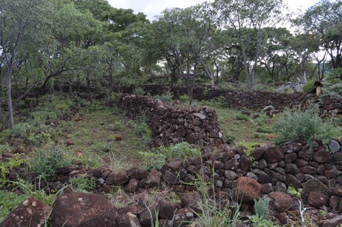 Figure 4. Photograph showing terraces of the Nyanga complex.