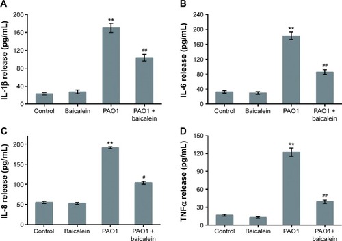 Figure 11 Effects of baicalein on the production of inflammatory cytokines by Pseudomonas aeruginosa PAO1-infected macrophages.