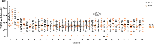 Figure 3. Percentage of methylation for each CpG site in HPV positive (HPV+) and negative (HPV-) of penile squamous cell carcinoma. The CTCF binding site is indicated by the grey arrow. Positive samples were considered as p16INK4a+ or hrHPV+.