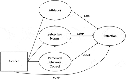 Figure 4. The structural equation model for non-Hispanic White young adults.