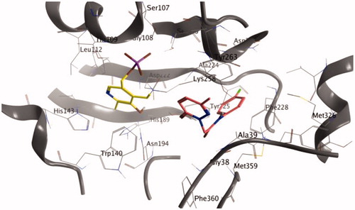 Figure 2. Binding of analogue 3a after 50 ns of MD.