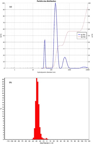 Figure 7. (a) Dynamic light scattering of UF nanocapsule containing Eucalyptus extract core (F4) and (b) Zeta potential analysis of nanocapsule (F4).