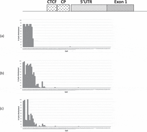 Figure 4. Bar chart summary of RB1 promoter CpG methylation profiles (CpGs c.-627-+77) of (a) 3208 (b) 3532 and (c) M22507; (a) and (b) are retinoblastomas homozygous for the RB1 variant c.-198 G > A, (c) retinoblastoma homozygous for c.-197_-196delinsTT variant.