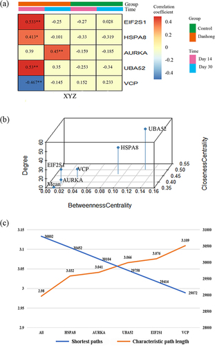 Figure 8 Validation of driver gene controllability. (a) The correlation coefficients between the driver genes and phenomic changes in the Danhong injection group and the control group, **p<0.01, *p<0.05. (b) The degree centrality, betweenness centrality, and closeness centrality of the driver genes. (c) The changes in the characteristic path length and the number of shortest paths for the PPI network of the PARGs with sequential deletion of driver genes.