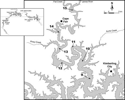 Figure 1 Sample sites on the James River arm of Table Rock Lake, in southwestern Missouri, USA. The James River arm meets the main stem (White River) near site 9. Inset map of the upper White River lakes courtesy of W.R. Green. The horizontal line represents the Missouri-Arkansas border.