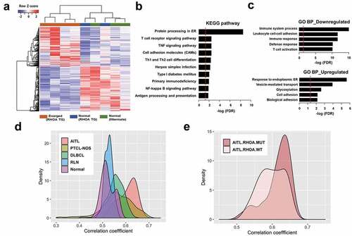 Figure 6. Expression correlation analyses of RHOA p.Gly17Val transgenic mice. (a) Heatmap view of RNA-seq data for mouse tissues using differentially expressed genes (DEGs) comparing four affected transgenic samples (i.e., enlarged lymph nodes), two unaffected transgenic samples and three control samples (from litter mates). (b, c) Gene set analysis by WebGestalt for statistical enrichment of 701 DEGs in KEGG pathways and Gene Ontology (GO) biological processes. Red vertical lines represent the FDR threshold of 0.05. (d) Distribution of pairwise correlation coefficients of 4 RHOA p.Gly17Val transgenic mice with 33 AITL patient tumors, 68 PTCL-NOS patient tumors, 203 DLBCL patient tumors, 12 reactive lymph nodes (RLN), and 20 normal T cell samples. Note the highest correlation between RHOA transgenic mice and AITL patients. The P-values for AITL vs PTCL-NOS, AITL vs DLBCL, AITL vs RLN and AITL vs Normal comparisons were = 1.47e-12, < 2.2e-16, < 2.2e-16 and < 2.2e-16, respectively, according to the Wilcoxon rank sum test. (e) Distribution of pairwise correlation coefficients of RHOA p.Gly17Val transgenic mice with 14 and 13 AITL patients with and without RHOA p.Gly17Val mutation, respectively. Note the higher correlation with patients with the mutation (P-value of 2.97e-3).