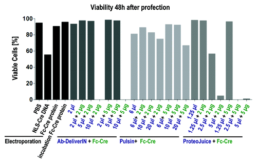 Figure 4. Viability of cells 48 h after treatment by profection or electroporation. Cells were analyzed by flow cytometry after life death staining with propidium iodide. At high concentrations of profection reagents viability decreased (Pulsin) or cells died so numerously leaving not enough cells for measurement (Ab-DeliverIN, ProteoJuice). For profection, cells had been incubated for 48 h with profection reagent and protein, the supernatant was substituted after 48 h by cell culture medium. Electroporation with proteins was performed using 0.9 mg/ml Fc-Cre.