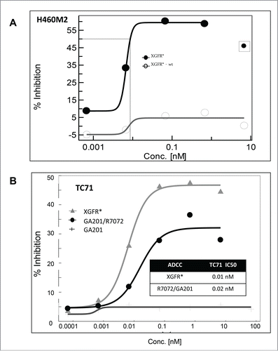 Figure 6. Antibody-dependent cell-meditated cytotoxicity mediated by XGFR*. (A) Induction of in vitro ADCC on H460M2 cells by glycoengineered affinity matured antibody XGFR*. A non-glycoengineered XGFR* antibody was included as control. (B) Induction of in vitro ADCC on TC-71 cells by glycoengineered bispecific antibody XGFR* and parental antibody control mixture R7072/GA201. Tumor cells were seeded in 96-well plates with various antibody concentrations and human PBMC were added at an effector to target ratio E:T of 25:1. Plates were incubated for 4 hours at 37°C, 5% CO2. Cytotoxicity was measured using the LDH Cytotoxicity Detection Kit or the xCelligence system. At least 2 independent data sets with comparable results were obtained. Data points surrounded by square were excluded for curve fitting.