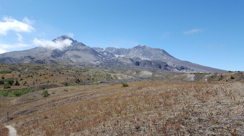 Figure 2. The Northern flank of the Mount St. Helens volcano, in a picture taken from 46°14′N/122°10′W, pointing SW direction. We can notice the open side of the crater (due to the 1980 eruption's collapse) and the newly formed dome inside it.