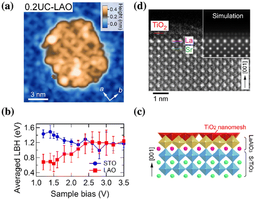 Figure 9. LAO film on STO(001)-(√13 × √13)-R33.7° substrate surface. (a) STM image of 0.2-UC-thick LAO film (15 × 15 nm2, V s = +1.2 V, I t = 30 pA, T = 78 K). (b) Averaged LBH of the LAO island and STO substrate surface as a function V s. (c) Model of the LAO/STO interface (TiO2 nanomesh/AlO2/LaO/bulk TiO2). (d) High-angle annular dark-field scanning TEM image of 1-UC-thick LAO film on the STO(001)-(√13 × √13)-R33.7° substrate. A simulation image is shown in the inset.