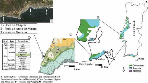 Figure 1. Regional geological map of the Cabo Espichel area with relevant location of the studied site and the limits between deposits of the Mesozoic cropping out in the area: A - Portuguese Mesozoic formations; B - Mesozoic formations of Lisbon and Setúbal peninsulas; C - Geology of Cabo Espichel area; D – Chronostratigraphic sequence of the Lower Cretaceous geological formations of Espichel, the Papo-Seco Formation is highlighted in green; E - Localization of the Paleontological sites Boca do Chapim, Praia do Areia do Mastro and Praia do Guincho in an image of Google Earth. Scales: A - 20 km; B - 10 km; C - 2 km.