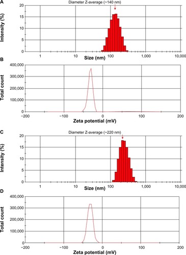 Figure 2 Size distribution and zeta potential of PLGA NPs.Notes: (A) Size and (B) zeta potential of unloaded PLGA NPs. (C) Size and (D) zeta potential of shikonin-loaded PLGA NPs. Red arrow represents diameter Z-average.Abbreviations: NPs, nanoparticles; PLGA, poly(lactic-co-glycolic acid).
