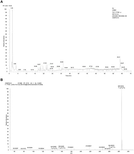 Figure 13 Mass spectrum of CSMFCH in the negative ion mode. (A) Total ion current chromatogram of CSMFCH. (B) ESI-MS/MS spectra of kaempferol.