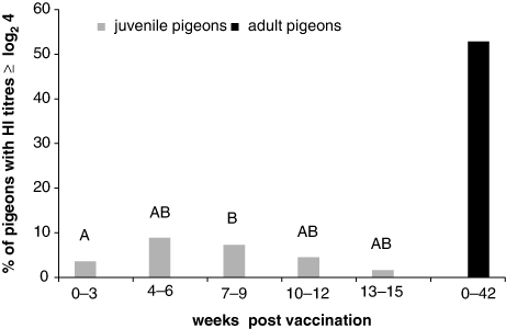 Figure 1. Percentage of APMV-1 antibody-positive racing pigeons. Results of juvenile pigeons (n = 628) that were sampled during summer samplings are displayed in intervals of 3 weeks (n = 84 to 158/time span). Different superscript letters indicate significant differences in HI titres between groups of juvenile pigeons (Kruskal–Wallis one-way analysis of variance with all-pairwise comparisons, P < 0.05). A significant difference was seen 0 to 3 weeks and 7 to 9 weeks post vaccination. Sera of adult pigeons (n = 2036), collected during four samplings (2008 to 2010) showed no significant differences between HI titres and time spans post vaccination. The results of adult pigeons are displayed as the mean percentage of antibody-positive pigeons between 0 and 42 weeks post vaccination.