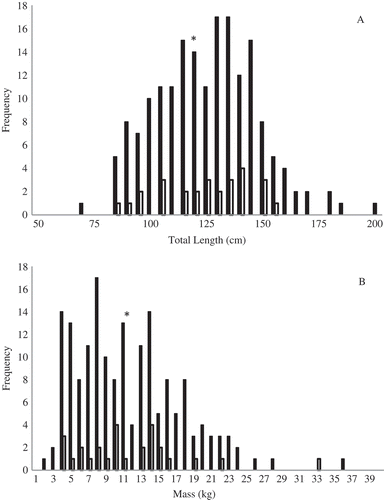 FIGURE 2. Frequency histograms for (A) total length and (B) mass of Atlantic Sturgeon captured in the Penobscot estuary between 2006 and 2013. The black bars indicate size at first capture and the white bars the lengths of recaptured individuals. Average length and mass are denoted on each histogram by an asterisk.