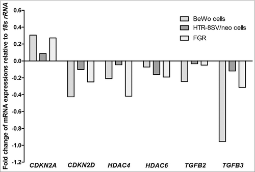 Figure 3. Relative expression of candidate downstream target cell-cycle genes of VDR. Identified cell-cycle genes demonstrated consistent gene expression changes in pooled samples of VDR siRNA transfected BeWo and HTR-8/SVneo trophoblast cells (n = 3 independent experiments performed at least in triplicate wells for treatment groups) and FGR placentae (n = 25) compared with gestation-matched control placentae (n = 25). CDKN2A: cyclin-dependent kinase inhibitor 2A; CDKN2D: cyclin-dependent kinase inhibitor 2D; HDAC4: histone deacetylase 4; HDAC6: histone deacetylase 6; TGFB2: transforming growth factor beta 2; TGFB3: transforming growth factor beta 3. Data presented from pooled samples, therefore no error bars provided.