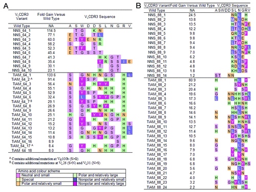 Figure 5. Sequence summary for variants which have undergone TiAM and NNS optimization of VLCDR3 loops in antibodies ICM10064 and ICM10088. For lineage ICM10064 (A) and ICM10088 (B), the wild type VLCDR3 loop sequence is shown at the top and for each variant the changes incorporated during the affinity maturation process are highlighted. Amino acids are colored according to side-chain properties, as detailed in the legend, and the improvement in affinity measured for each individual variant is recorded.