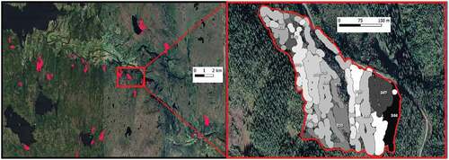 Figure 1. A scattering of some of the 253 harvested sites seen in the rugged terrain at landscape level (red polygons, left) and a close-up illustrating how one harvested site is made up of multiple DMUs, each shown in a different gray tone (right). Spatially, a DMU represents the area felled by a harvester on any single day. The dataset constituted 643 such DMUs