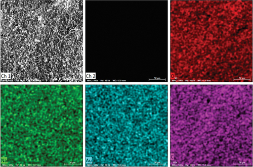 Figure 6. Surface structure and elemental mapping images of O, na, au and C in GA+SA@CUR thin film.