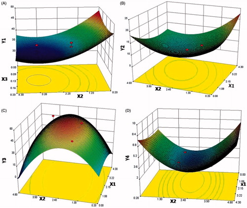 Figure 2. Response surface plots for the mannitol (X1), l-leucine (X2) and F68 (X3) on the repose angle (Y1) – A, the GSD (Y2) – B, FPF (Y3) – C, and MMAD (Y4) – D.