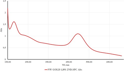 Figure 1 UV-Vis absorption spectrum of gold NPs at 520 nm.