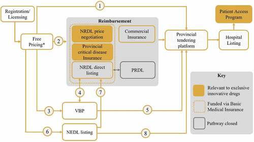Figure 1. Drug access routes via hospitals in China. (1) Tendering of self-paid non-reimbursed drugs (2) Exclusive innovative drugs can enter the NRDL through price negotiation, other drugs can enter through direct listing (3) Patent-expired originators and generics that have passed consistency evaluations enter national VBP (4) Success in national VBP was one of the criteria to be considered for inclusion on the NRDL in 2020. NRDL products also have streamlined VBP (5) Hospitals are required to prioritize the usage of VBP drugs (6) the criteria for NEDL listing are urgent need and clinical necessity (7) Listing on the 2018 NEDL was one of the criteria to be considered for inclusion on the NRDL in 2020 (8) Hospitals are required to prioritize the usage of NEDL drugs. *Prices can be freely set at market entry. NEDL – National Essential Drug List; NRDL – National Reimbursement Drug List; PRDL – Provincial Reimbursement Drug List; VBP – Volume-based procurement.