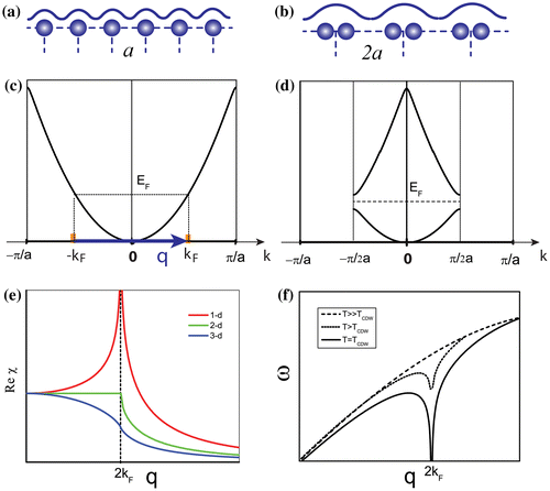 Figure 1. Illustration of the Peirls picture. (a) Atomic model of a 1D chain with lattice constant a above Tc. (b) Atomic model of the 1D chain with lattice constant changing to 2a below Tc. (c) Free electron band of the 1D chain above Tc. (d) Free electron band of the 1D chain below Tc with a gap opening at kF. (e) Plots of the real part of Linhard function for 1D, 2D and 3D free electron gas models. (f) Phonon energy of 1D atomic chain at different temperature.