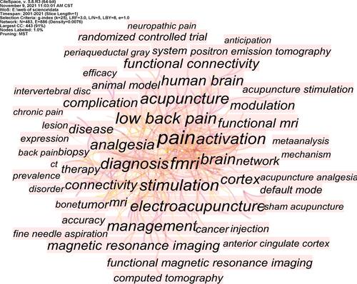 Figure 8 Keywords co-occurrence map related to fMRI studies on acupuncture analgesia.