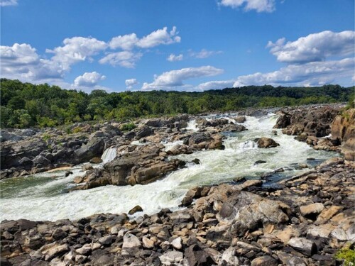 Figure 3. View of Great Falls from Olmstead lookout, Maryland, USA. 2019.