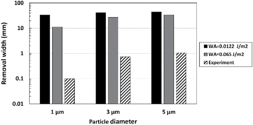 Figure 9. Comparison of the radial extent of particle removal as predicted by the steady-state CFD simulation with the experimental data.