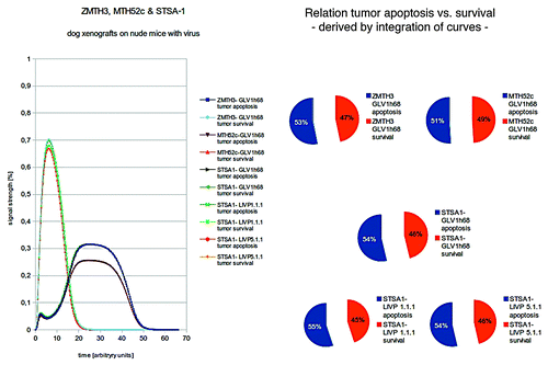 Figure 3. Models and/or ratios of tumor survival and apoptosis of the canine MTH52c, STSA-1, and ZMTH3 tumors in nude mice after therapy with different vaccinia virus strains. Again the polynomial areas of the diagrams were calculated. ZMTH3 and MTH52c both react very well to VACV- treatments and show tumor apoptosis that conform with in vivo findings. STSA-1 was treated with different virus strains (GLV-1h68, LIVP 1.1.1, and LIVP 5.1.1) and shows the highest tumor apoptosis when treated with LIVP 1.1.1- again in full agreement with the in vivo findings.