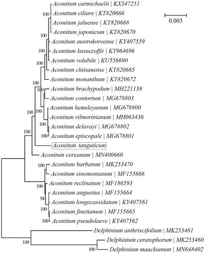 Figure 1. Phylogenetic relationships of 24 species within the genus Aconitum based on the Bayesian analysis of the concatenated coding sequences of chloroplast PCGs. The best-fit nucleotide substitution model is ‘GTR + G+I’. Three contribal species within the genus Delphinium were included as outgroup taxa.